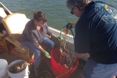 Crabbing with Fish Oregon