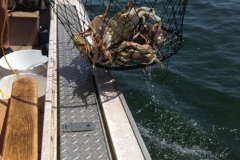 Crabbing with Fish Oregon