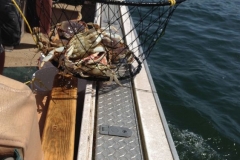 Crabbing with Fish Oregon