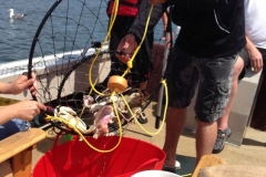 Crabbing with Fish Oregon