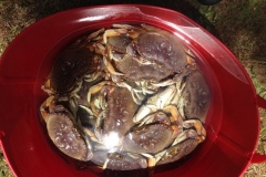 Crabbing with Fish Oregon