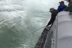 Spring Salmon Fishing with Fish Oregon